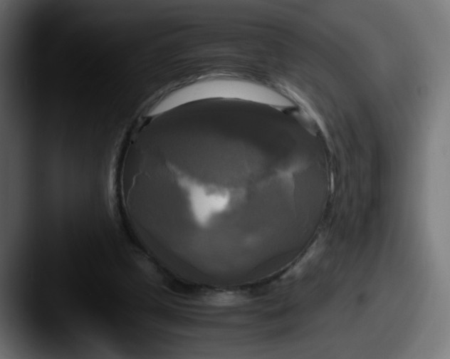 X0000087540249200705181053