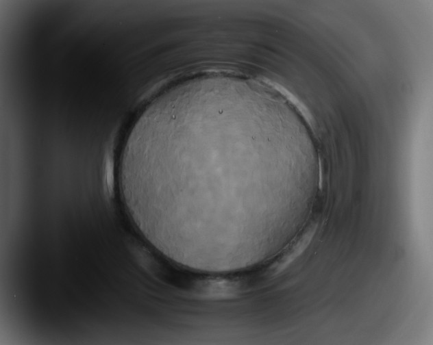 X0000087540253200705181054