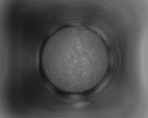 X0000087540255200705181054