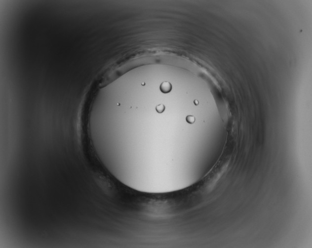 X0000087540256200705181054