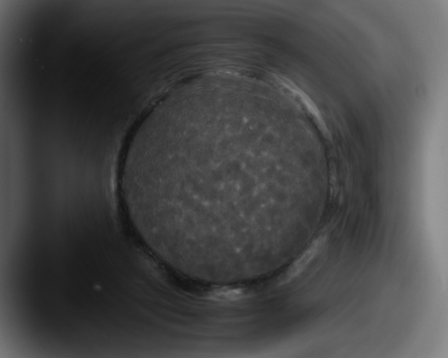 X0000087540257200705181054