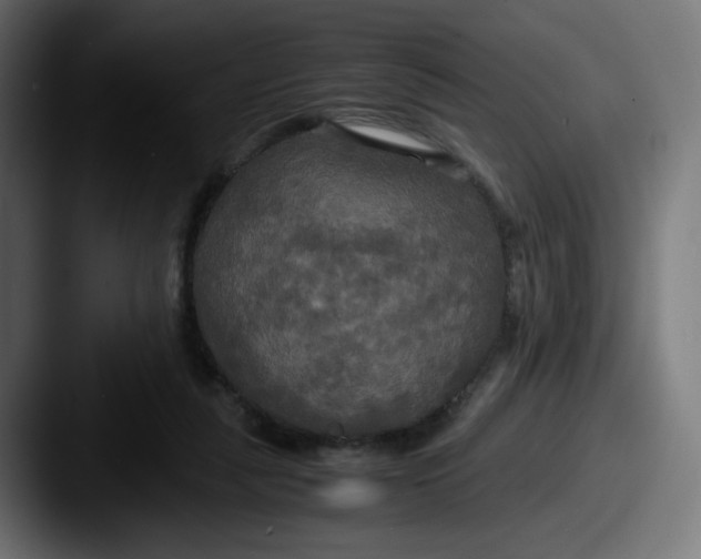 X0000087540259200705181054