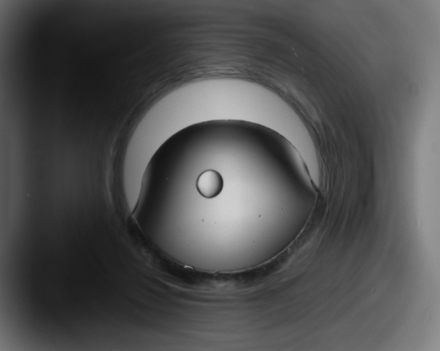 X0000087540260200705181054