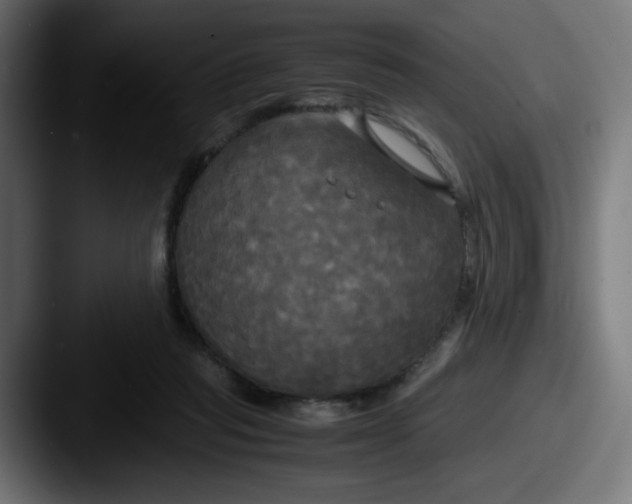 X0000087540261200705181054