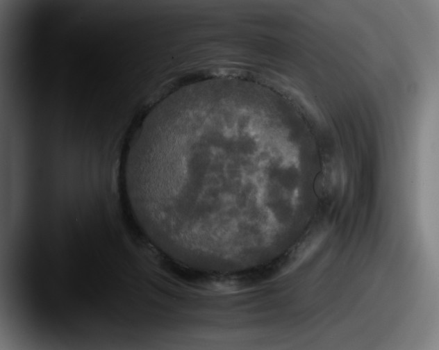 X0000087540263200705181054