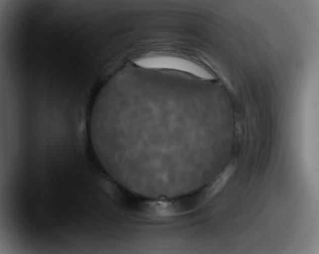 X0000087540265200705181054