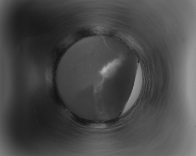 X0000087540266200705181054