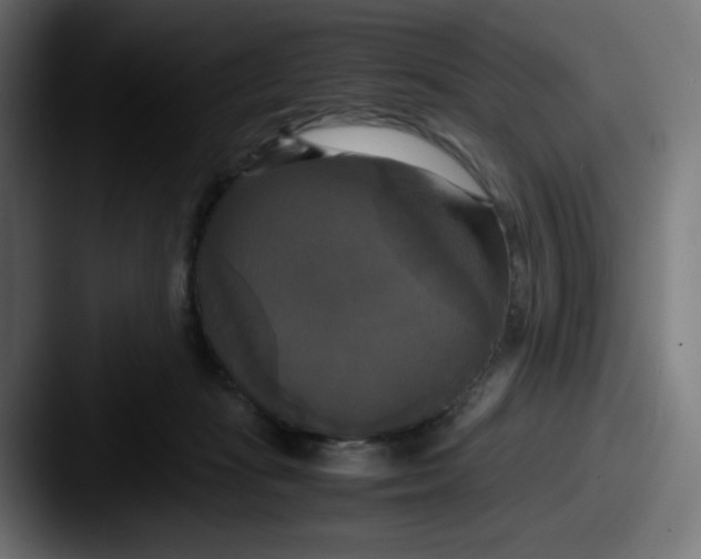 X0000087540269200705181054