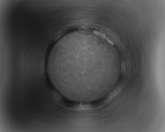 X0000087540270200705181054