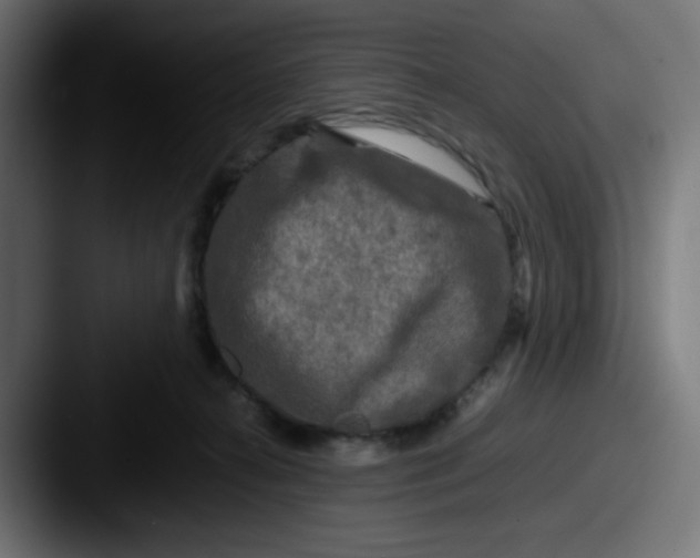 X0000087540272200705181054