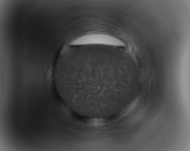 X0000087540273200705181054