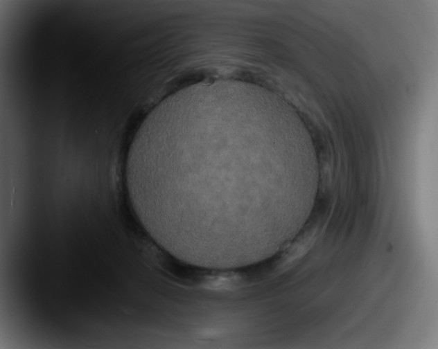 X0000087540274200705181054