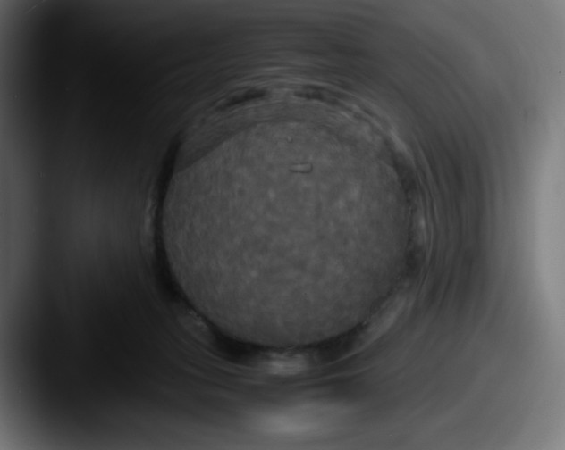 X0000087540275200705181054