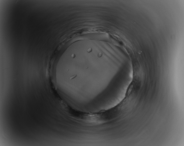 X0000087540277200705181054