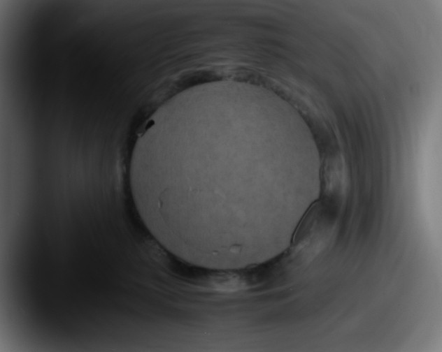 X0000087540279200705181054