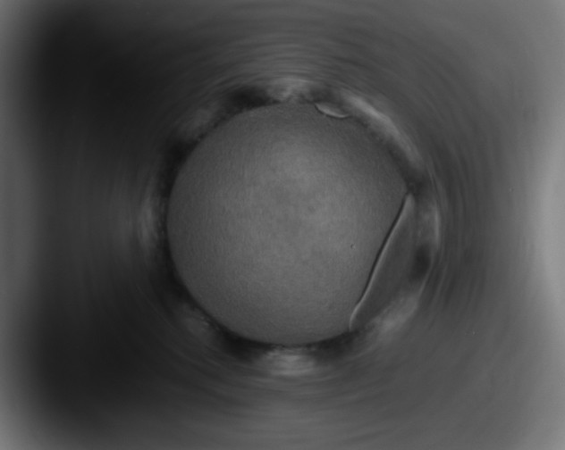 X0000087540280200705181054