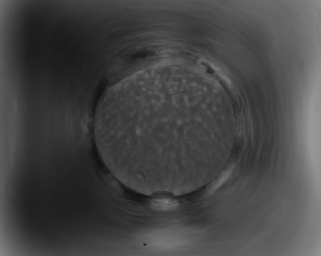 X0000087540281200705181054