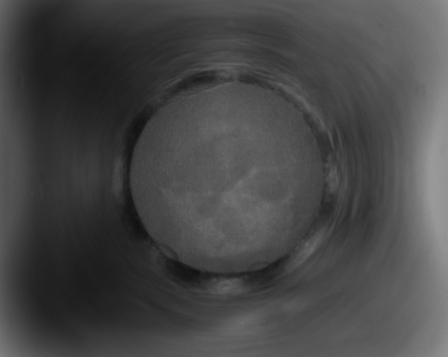 X0000087540283200705181054