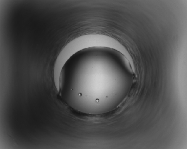 X0000087540284200705181054