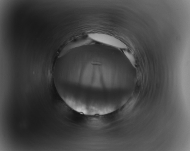 X0000087540285200705181054