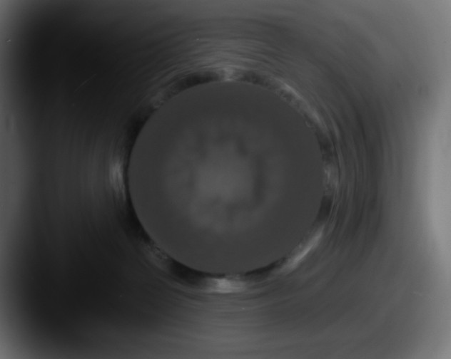 X0000087540286200705181054