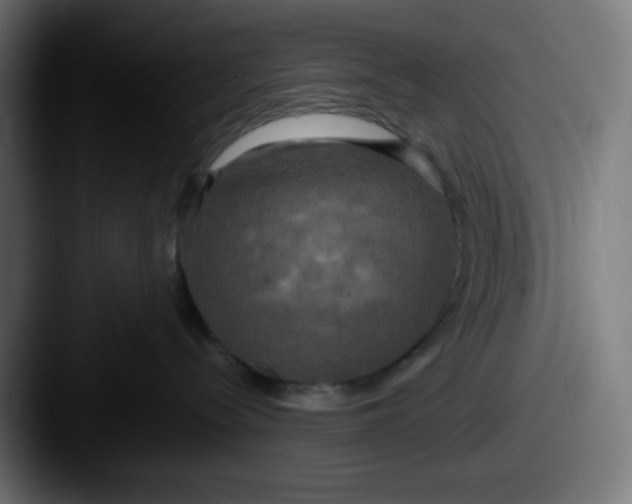 X0000087540288200705181054