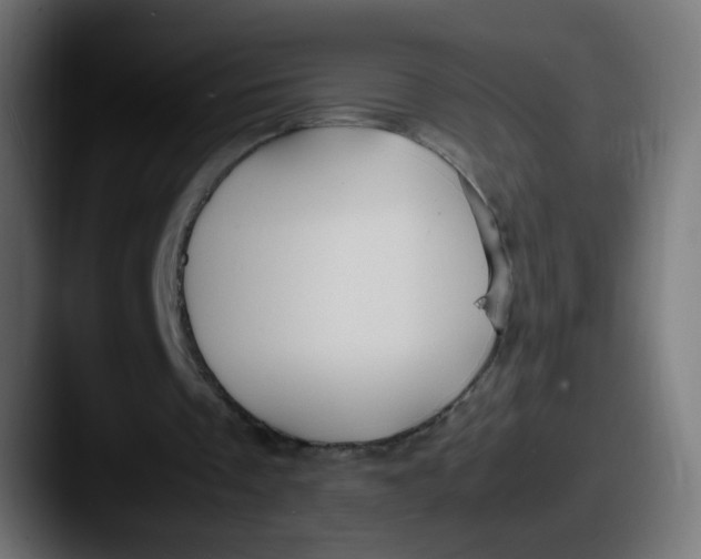 X0000087540289200705181053