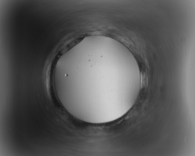 X0000087540291200705181053