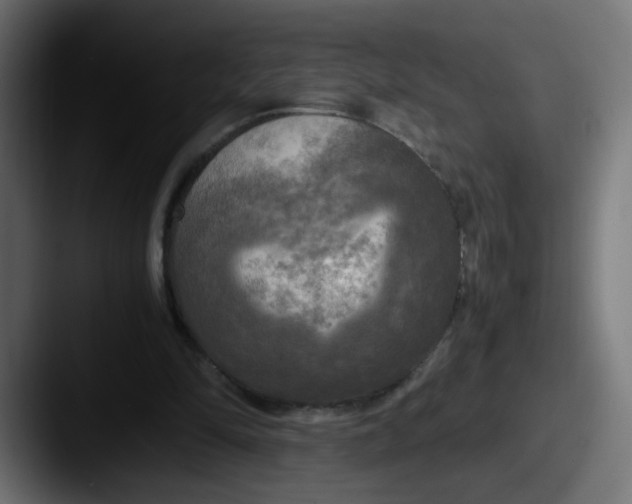 X0000087540294200705181053