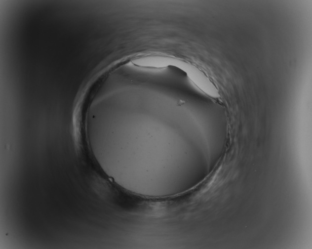 X0000087540295200705181053