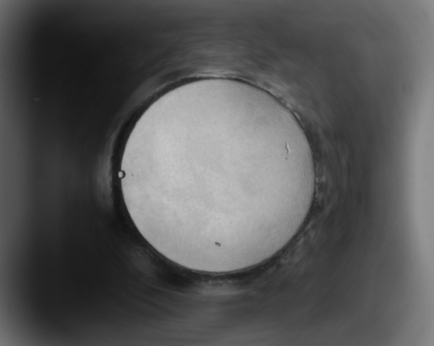 X0000087540296200705181053