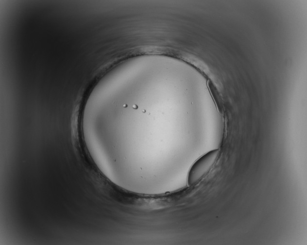 X0000087540297200705181053