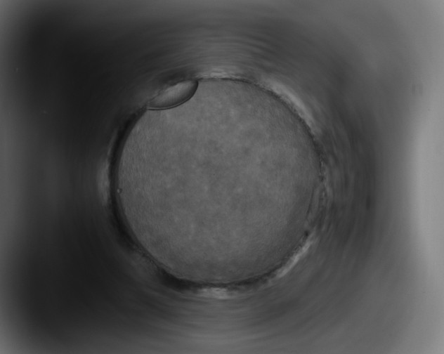 X0000087540298200705181053