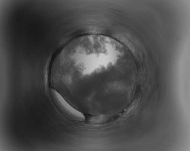 X0000087540299200705181053