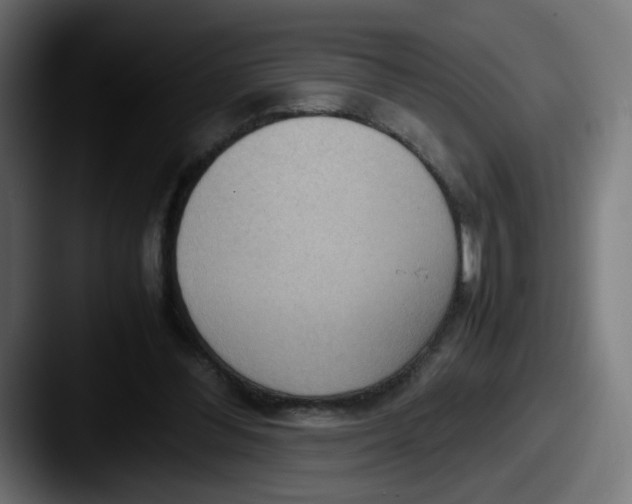 X0000087540300200705181053