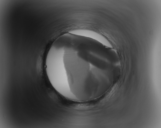 X0000087540303200705181053