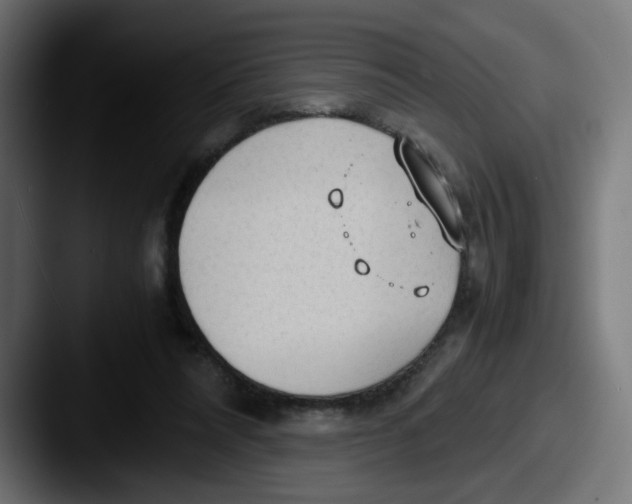 X0000087540304200705181053