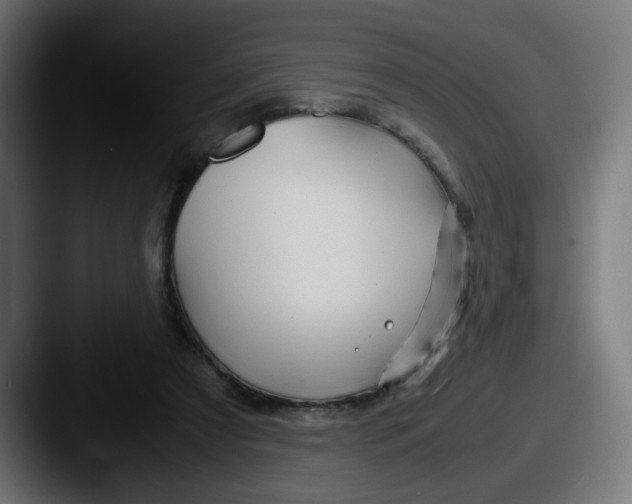 X0000087540305200705181053