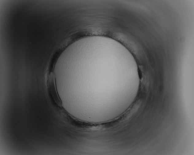 X0000087540306200705181053