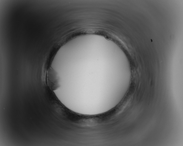 X0000087540307200705181053