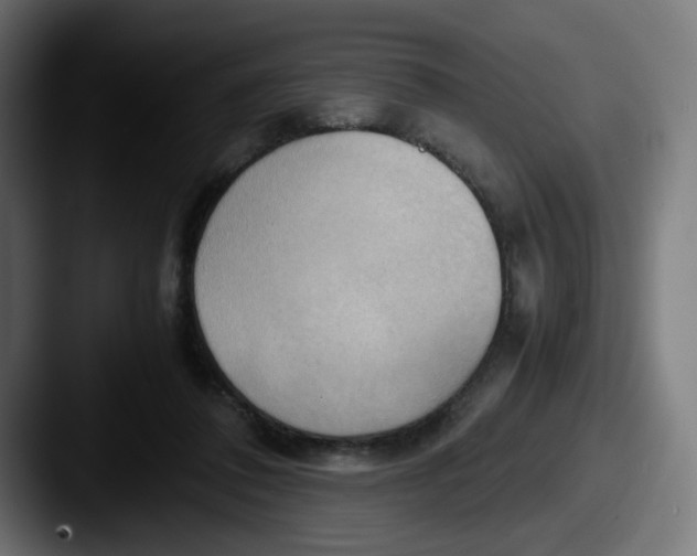 X0000087540308200705181053