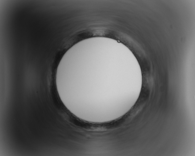 X0000087540311200705181053