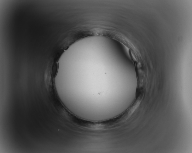 X0000087540313200705181053