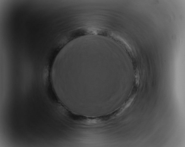 X0000087540314200705181053