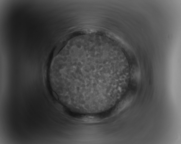 X0000087540315200705181053