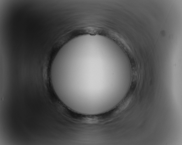 X0000087540317200705181053