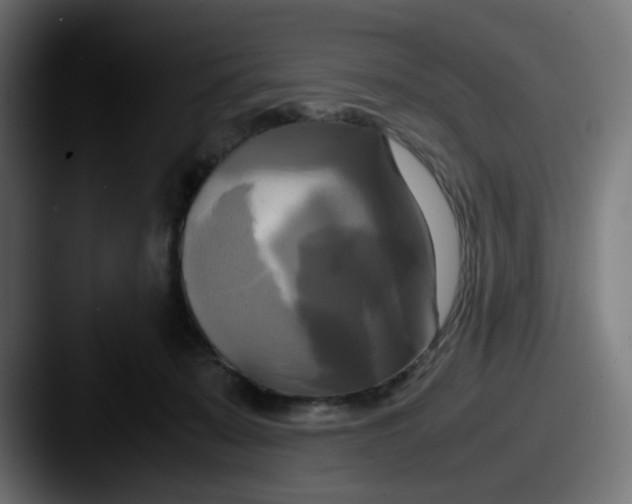 X0000087540319200705181053