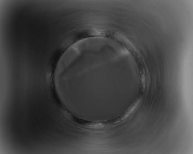 X0000087540322200705181053