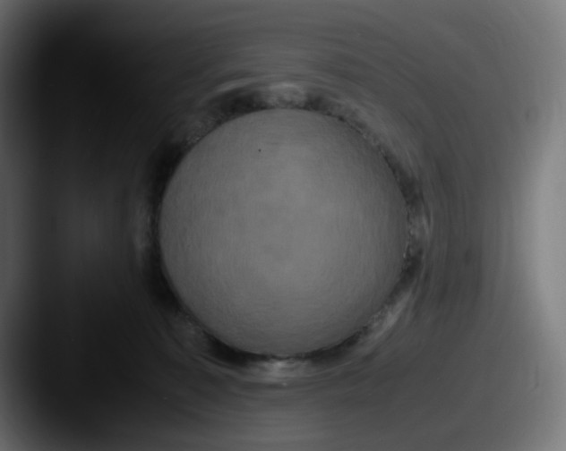 X0000087540323200705181053