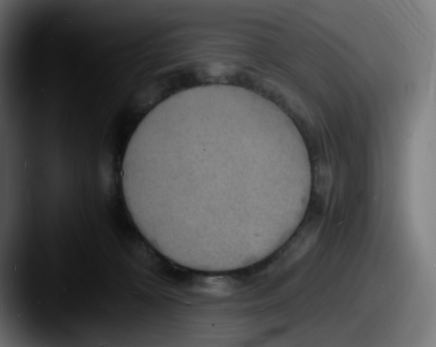 X0000087540324200705181053